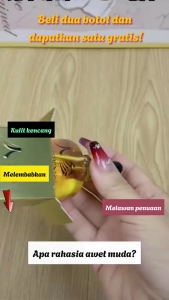 anti aging serum anti kerut serum 100ml Ginseng Gold Anti-Wrinkle serum Kulit Wajah Glowing Soothing Serum hydrating wajah