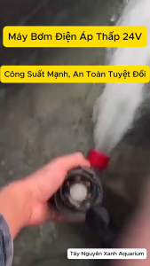 Máy Bơm Công Suất Mạnh Cao Cấp FreeSea Tiết Kiệm Điện Giải Pháp Hoàn Hảo Cho Hồ Cá Lớn Hồ Cá Koi Thác Nước Lọc Chế