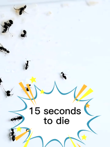 🐜termites killer spray🐜 500ML anay killer spray termite killer suitable for pregnant and infants safe and secure anay termit killer for wood spray termite spray killing termites ant spray killer