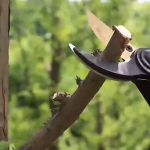 ส่งจากไทยเหล็กอัลลอย SK5 แท้ กรรไกรตัดกิ่ง คม ทน ประหยัดแรงงาน กันไกรตัดกิ่ง กรรไกรตัดกิ่งไม้ กรรไกรแต่งกิ่ง คีมตัดกิ่