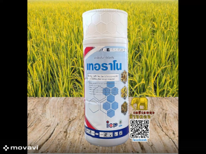 เทอราโน ขนาด 1 ลิตร (สารเดียวกับอามูเร่) กำจัดโรคที่เกิดจากเชื้อรา เมล็ด ด่าง ด้าน บวม แห้ง ใบจุุด