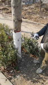 5PCS/SET Pengencang Kawat Seling & Wire Tensioner Penarik Kabel