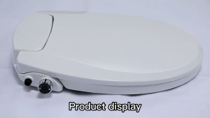 Toilet Seat and Bidet ฝารองนั่งชักโครก ไม่ใช้ไฟฟ้า แบบทรงรีและทรงกลม