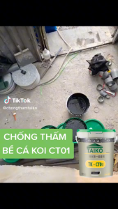 Sơn Chống Thấm Hồ Cá Bể Cá Koi TAIKOMI CT01 Màu Đen - Chống Thấm Bể Cá Koi Mái Nhà Móng Nhà Bể Âm