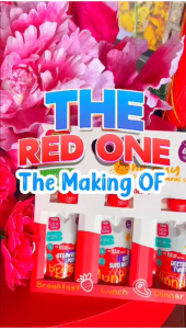 LITTLE NUUR | BABY FOOD MAKANAN BAYI PURI 6 BULAN THE RED ONE