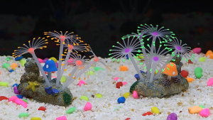 San Hô Silicone Dạ Quang Trang Trí Bể Cá Đa Dạng Màu Sắc Hình Dáng Sinh Động Độc Đáo