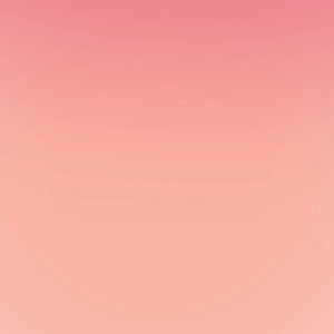 MINOR DENT CLEARANCE : The Secret Life of the Mind: How Your Brain Thinks Feels and Decides By Mariano Sigman