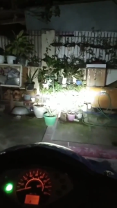 [𝟭𝟬𝟬%𝗢𝗥𝗜𝗚𝗜𝗡𝗔𝗟] T19 LED Bulb 13.5V NEW GEN Mentol LED Motosikal German Technology (EX5 DASH KRISS II WAVE 125 LCV1-V3)