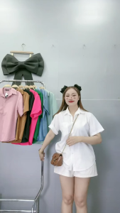 Áo sơ mi nữ Bigsize Cô Nhỏ một túi vải kate lụa mềm mịn ít nhăn basic màu pastel 60-100kg SM1T