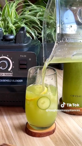 Tough Mama NTM-CB800 Heavy Duty Household Commercial Blender Juicer