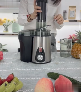 Multifunctional juicer 2-speed stainless steel juicer juice separator blender 850W juicer stainless steel filter small juicer food processor blender