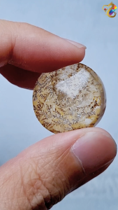 Collection Grade Rare Dendritic Rainbow in Golden Healer Quartz Display