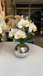 แจกันกล้วยไม้ปลอมแจกันดอกไม้ปลอมขนาดเล็ก ตกแต่งบ้าน