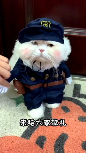 【Bestseller Alert】 Whisker Funny Halloween Pet clothes for dog Transformation Costume Pet Astronaut Guitarist costume for cats funny puppy costume cosplay dog clothes shirt for chihuahua dog costume for bully dog puppet clothes dog accessori for
