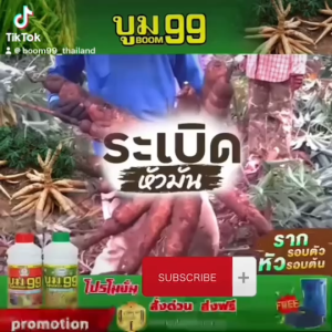 ปุ๋ยน้ำบูม99 แถมเสื้อ เพิ่มผลผลิตผัก+ผลไม้🍉 เก็บโค้ดส่งฟรีก่อนสั่ง‼️