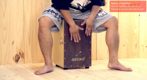 Gecko Cajon Adjustable Snare Walnut Tapping Head Portable Size Travel Cajon String Cajon