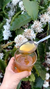 Mật Ong Hoa Cà Phê Nguyên Chất 1000ML