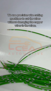 1PCS 2 PIN SUITABLE FOR HYUNDAI KIA SPECTRA CERATO NAZA RIA CITRA IGNITION PLUG COIL CHEVROLET WASHER PUMP SOCKET