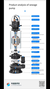 220V Sewage Pump: A Comprehensive Guide
