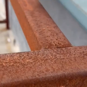 [Brush once no more rust] Anti rust paint for metal Anti rust paint Rust converter 350g Turn rust into paint without manual polishing Cat anti karat heavy duty Anti rust primer Rust converter paint Metal paint anti rust Anti-Corrosion and Rust Removal