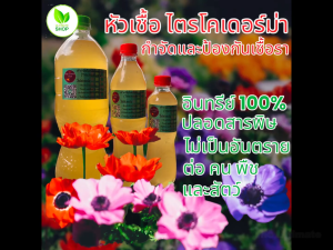 หัวเชื้อ เชื้อไตรโคเดอร์ม่า (Trichoderma) แบบน้ํา พร้อมใช้