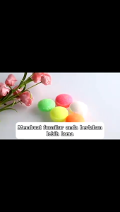 Kamper Toilet Ball Colour Isi 5 Bola/Pengharum Ruangan Dapur Lemari/Penghilang Bau Anti Serangga Penjamuran Serbaguna T24