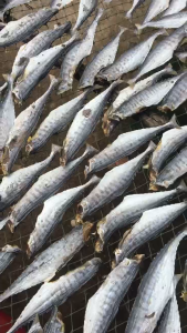 Khô Cá Thu Ảo Cắt Bỏ Đầu Vừa Ăn - Khô Cá Thu Bến Tre - Vựa Khô Hà Vy