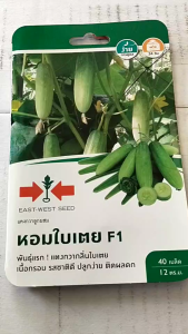 ศรแดง แตงกวา หอมใบเตย หมดอายุ 14/02/2570 จำนวน 40 เมล็ด/ซอง เมล็ดพันธุ์ ลอตใหม่ งอกดีแตงกวากลิ่นใบเตย เนื้อกรอบ รสชาติดี ติดดก npkplant