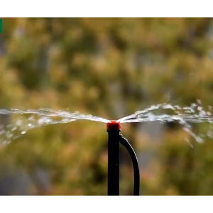 Combo 10 Que Cắm Tưới Gốc Nhỏ Giọt 8 Tia Màu Đỏ