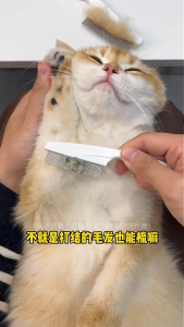 หวีสางขนสัตว์เลี้ยง 2 ไซส์ กับ หมัด แปรงเห็บหมัด สุนัข แม หวีหมัด