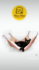 Tempat Tidur Kucing / CAT HAMMOCK / PET BED / CAT BED [SKU: HM-01]