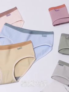 4 Pcs Triumphˉ Womens Cotton Panties Middle Waist Comfort Breathable Women Briefs Underwear