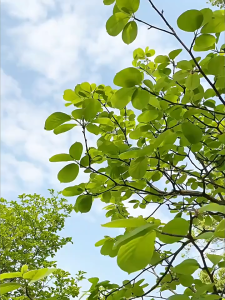 LK&VS กระติกน้ำแข็ง เก็บได้ทั้งความเย็น ความร้อน พกพาสะดวก น้ำหนักเบา