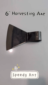 6" Oil Palm Harvesting Axe Head/ Menuai Mata Kapak kelapa sawit 棕油斧头 油仔斧