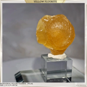BOTRYOIDAL YELLOW FLUORITE*PREMIUM QUALITY*[WL70]NAICA MINE MEXICO :CREATIVITY MENTAL CLARITY PERSONAL POWER