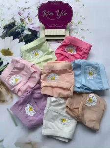 Sét 10 Quần lót nữ (8083) Size 40 - 50Kg Thun Lạnh In Hoa Cúc Mềm Mịn Thoáng Mát. Phom quần chuẩn ôm sát vòng 3