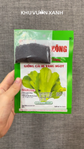 Hạt giống rau Cải Bẹ vàng ngọt gói 20gr (Trồng quanh năm)
