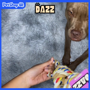 DAZZ เชือกขัดฟัน ของเล่นหมาใหญ่ ความยาว 60 cm ของเล่นสุนัข ของเล่นหมา Bite Molar Tooth Rope Dog Toys พร้อมส่งในไทย