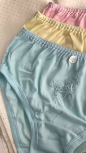 ORCHIDS SEMI 1 DOZEN SINGLE GARTER MID WAIST COLOR EMBROIDERY ADULT PLUS SIZE MATERNITY LOLA PANTY