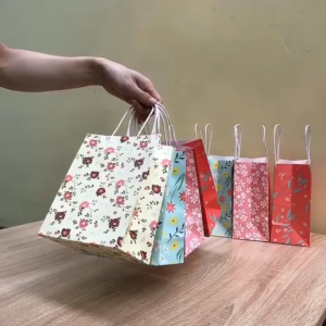 Combo 10 Túi giấy kraft có quai nhiều màu sắc túi kraft họa tiết dễ thương túi đựng quà cao cấp