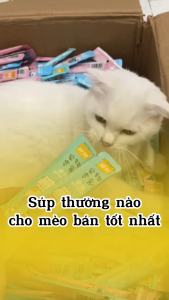 Súp thưởng cho mèo Shizuka thanh 15g thức ăn cho mèo soup thưởng cho mèo cung cấp dinh dưỡng cho thú cưng. Thức Ăn Cho Mèo Vị Gà Và Cá - Lazada