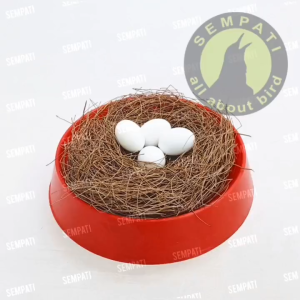 SEMPATI Sarang Burung Merpati Tempat Angkrem Angkreman Alas Plastik Sarang Burung Dara Perkutut Puyuh Wadah Tempat Burung Bertelur Sarang Burung Durable Dan Tebal - Lazada