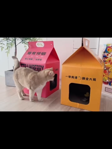 WaggyWaggy Milk Box Cat House Scratcher Board Claw Home Scratch Mainan Kucing Rumah猫抓板猫窝牛奶盒 BE0007
