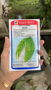 BENIH Sawi Putih Hibrida Eikun
