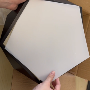 OSUKI LED 30cm Ceiling Light 18w BW98 (White Light)