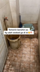 Ayana cleaner pembersih kerak toilet kamar mandi dan dapur