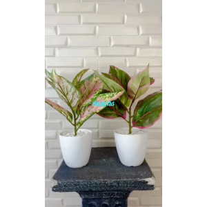 Pohon Artificial Tanaman Hias Aglonema Lipstik Hijau & Pink Latex Pot Melamine Dekorasi Rumah Dekorasi Meja Kantor