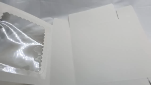 5pcs | Pastry Box | Cup cake Box (Glossy White or Natural/Kraft) 2 Sizes