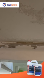 Promotion:【 Buy 1 Free1 】DaDee Transparent Waterproof Coating Waterbased (2L) | Nano Waterproofing | Waterproof Sealer