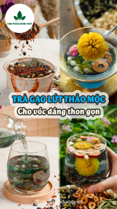Set 5-10 gói trà gạo lứt thảo mộc (Thanh nhiệt detox kiểm soát cân nặng)